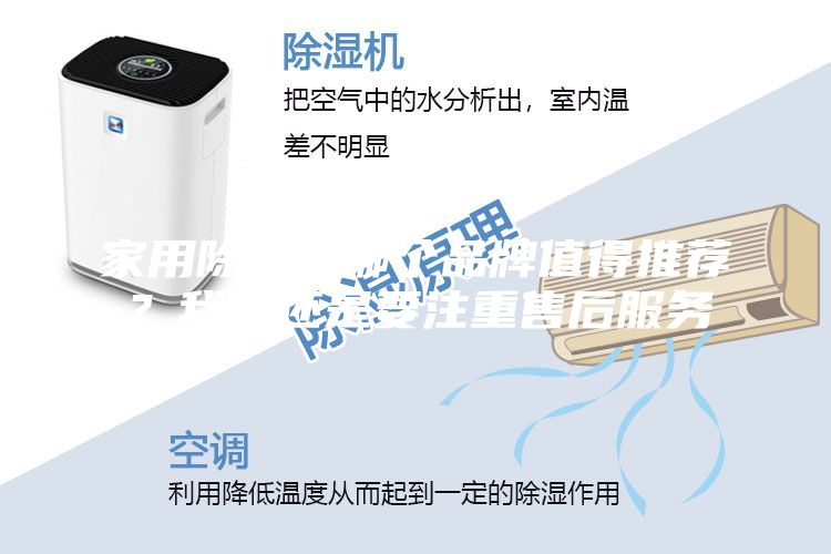 家用除湿机哪个品牌值得推荐？我们还是要注重售后服务
