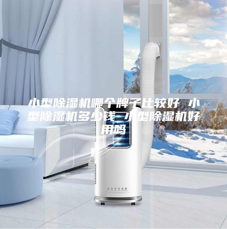小型除湿机哪个牌子比较好 小型除湿机多少钱 小型除湿机好用吗