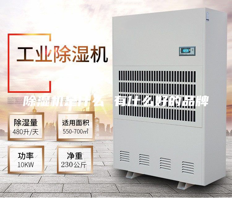 除湿机是什么 有什么好的品牌