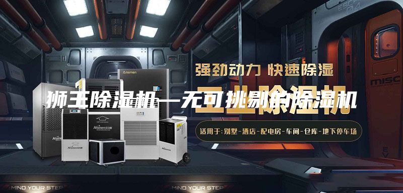 狮王除湿机—无可挑剔的除湿机