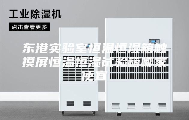 东港实验室恒温恒湿箱触摸屏恒温恒湿试验箱哪家便宜
