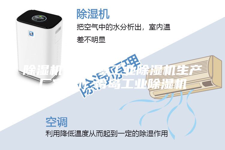 除湿机_安诗曼工业除湿机生产厂家(图)_青岛工业除湿机