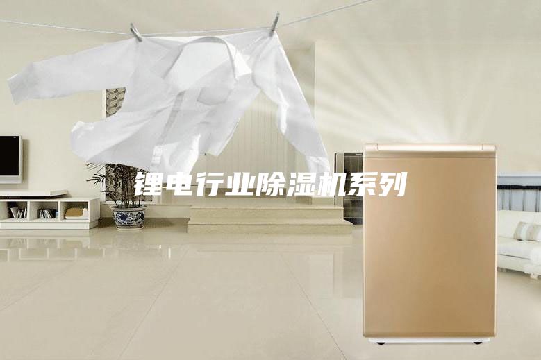 锂电行业除湿机系列