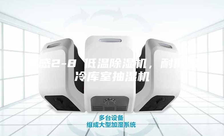 孝感2-8℃低温除湿机，耐低温冷库室抽湿机