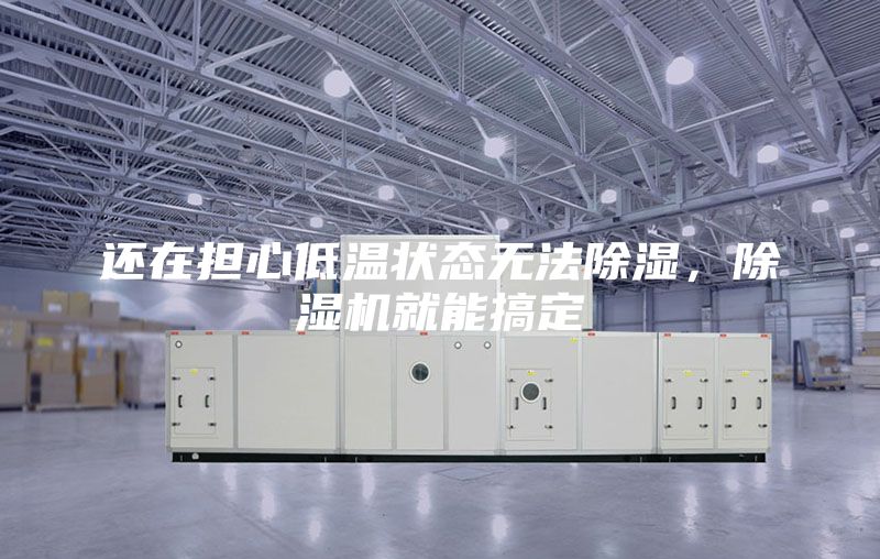 还在担心低温状态无法除湿，除湿机就能搞定