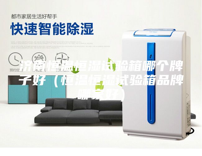 济南恒温恒湿试验箱哪个牌子好（恒温恒湿试验箱品牌哪家好）