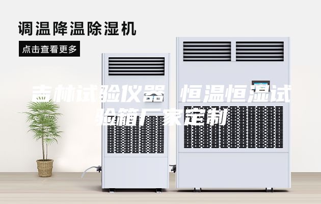 吉林试验仪器 恒温恒湿试验箱厂家定制