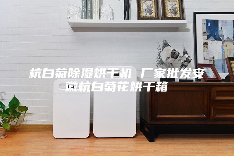 杭白菊除湿烘干机 厂家批发安徽杭白菊花烘干箱