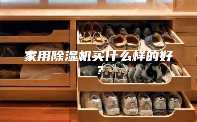 家用除湿机买什么样的好？