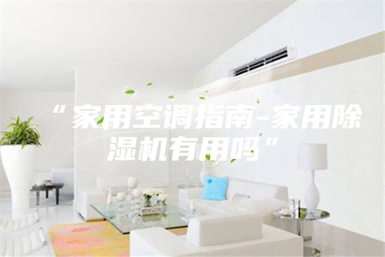 “家用空调指南-家用除湿机有用吗”