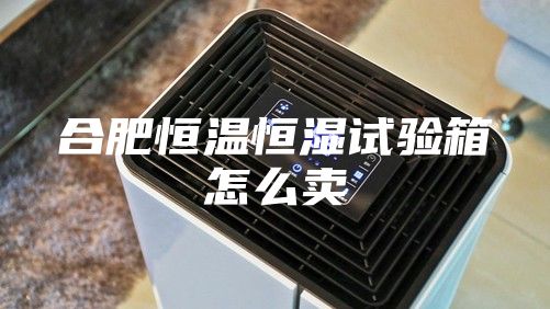 合肥恒温恒湿试验箱怎么卖
