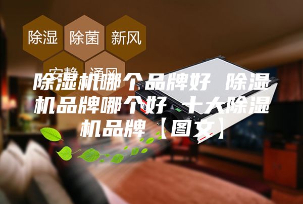 除湿机哪个品牌好 除湿机品牌哪个好 十大除湿机品牌【图文】