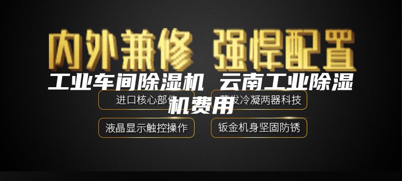 工业车间除湿机 云南工业除湿机费用