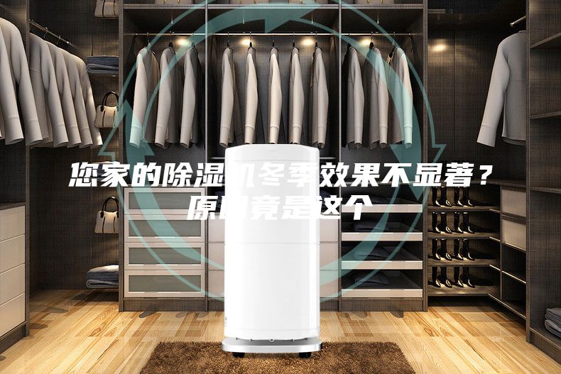 您家的除湿机冬季效果不显著？原因竟是这个