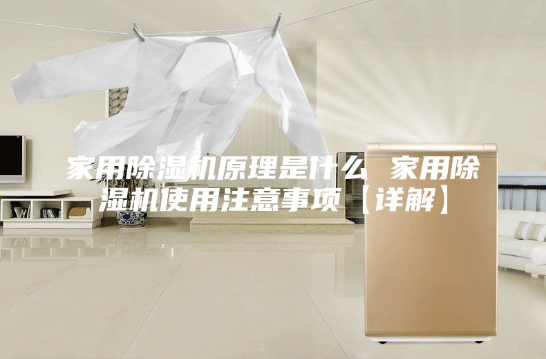 家用除湿机原理是什么 家用除湿机使用注意事项【详解】