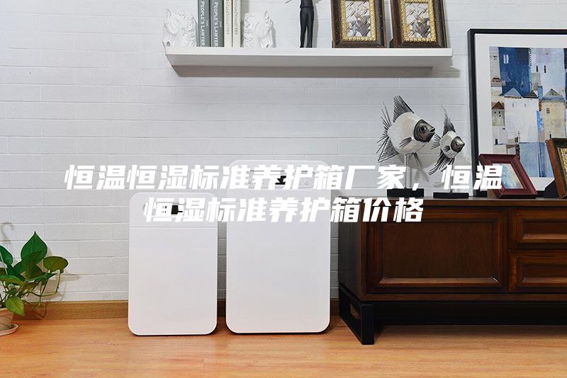 恒温恒湿标准养护箱厂家，恒温恒湿标准养护箱价格