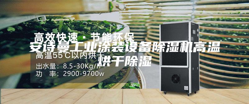 安诗曼工业涂装设备除湿机高温烘干除湿