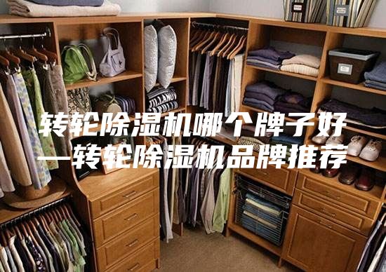 转轮除湿机哪个牌子好—转轮除湿机品牌推荐
