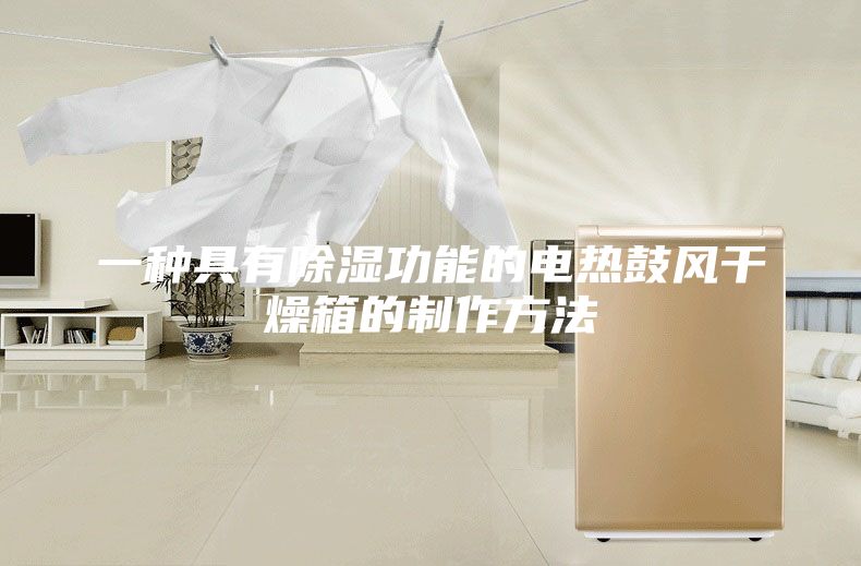 一种具有除湿功能的电热鼓风干燥箱的制作方法