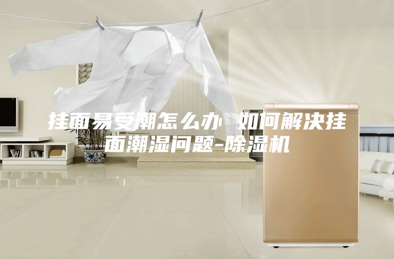 挂面易受潮怎么办 如何解决挂面潮湿问题-除湿机