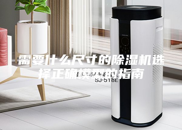 需要什么尺寸的除湿机选择正确模型的指南