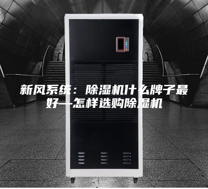 新风系统：除湿机什么牌子最好—怎样选购除湿机