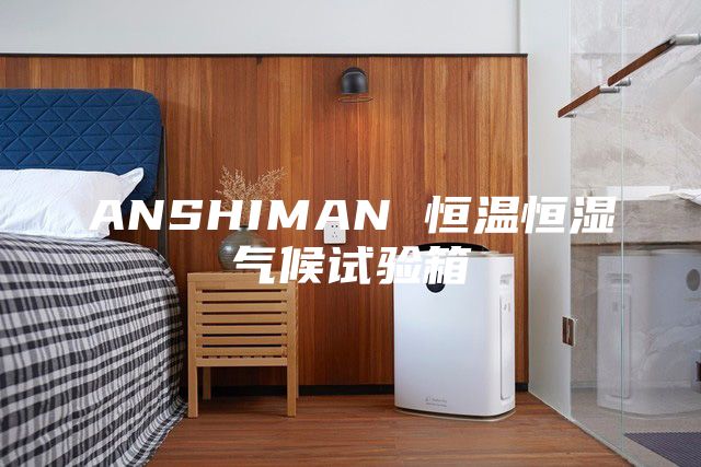 ANSHIMAN 恒温恒湿气候试验箱