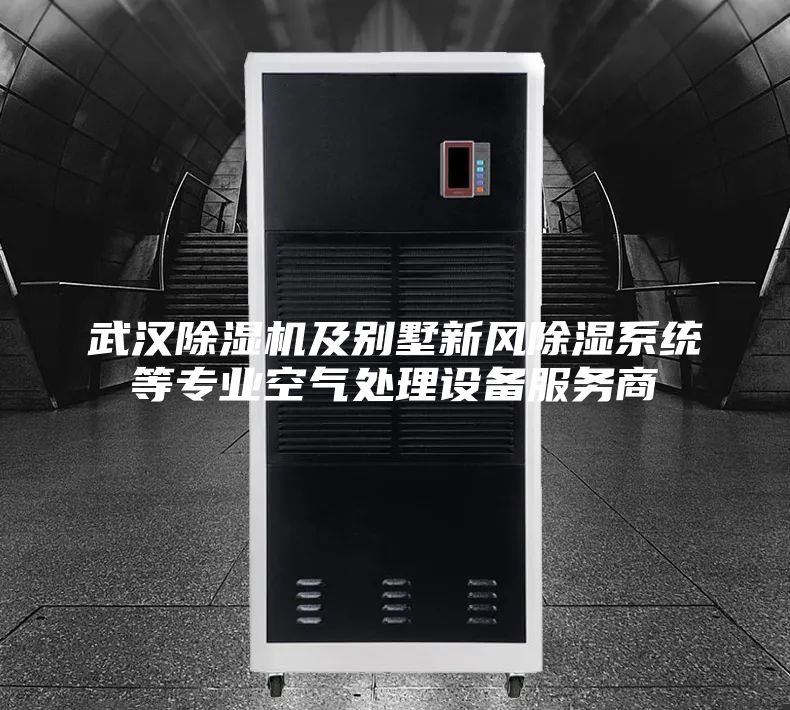 武汉除湿机及别墅新风除湿系统等专业空气处理设备服务商