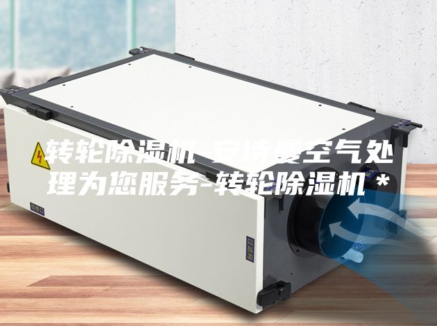 转轮除湿机-安诗曼空气处理为您服务-转轮除湿机＊