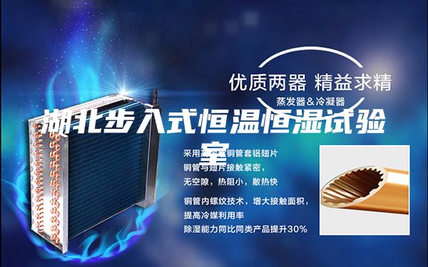 湖北步入式恒温恒湿试验室