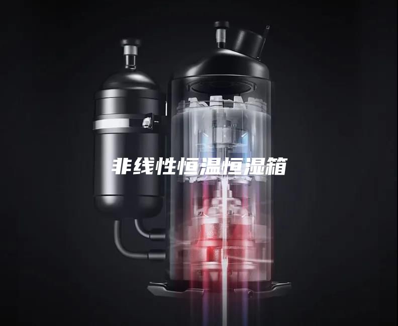 非线性恒温恒湿箱