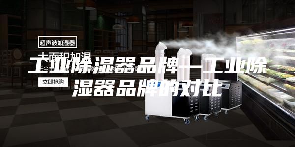 工业除湿器品牌—工业除湿器品牌的对比