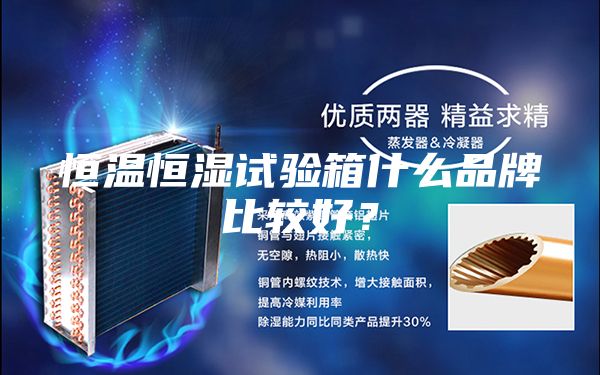 恒温恒湿试验箱什么品牌比较好？