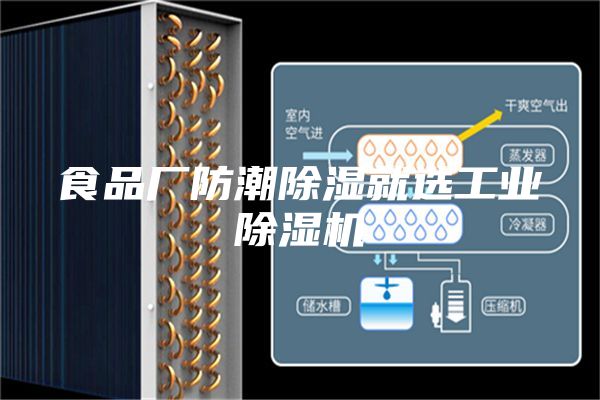 食品厂防潮除湿就选工业除湿机