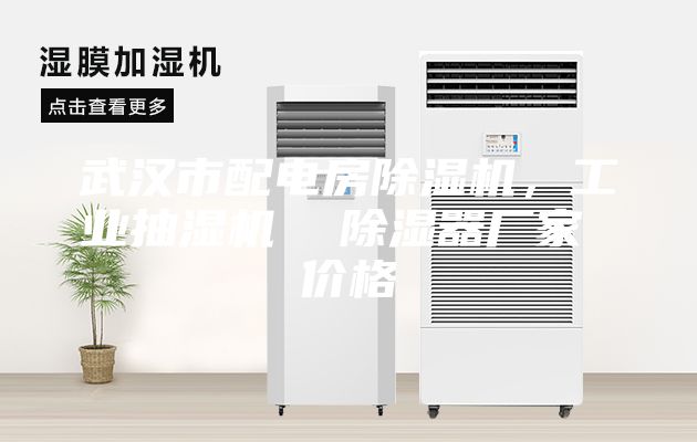 武汉市配电房除湿机，工业抽湿机  除湿器厂家 价格