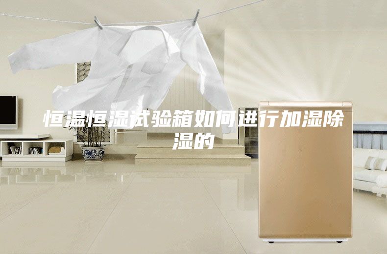 恒温恒湿试验箱如何进行加湿除湿的