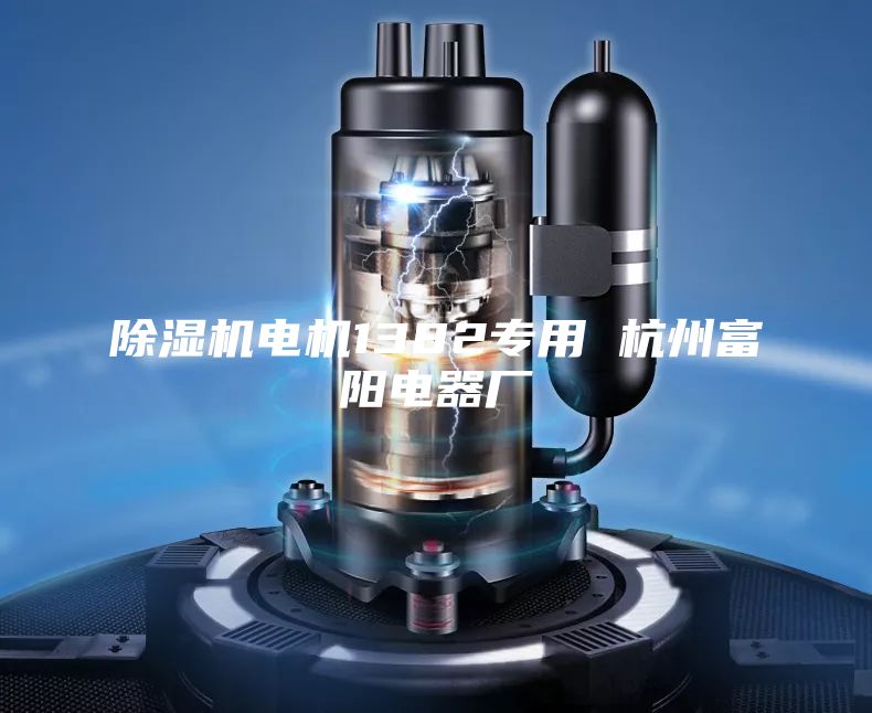 除湿机电机1382专用 杭州富阳电器厂