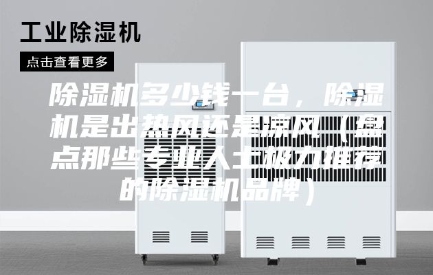 除湿机多少钱一台，除湿机是出热风还是凉风（盘点那些专业人士极力推荐的除湿机品牌）