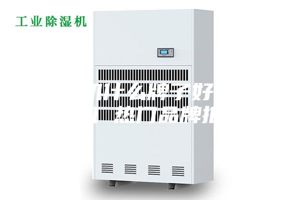 抽湿机什么牌子好  抽湿机 热门品牌推荐