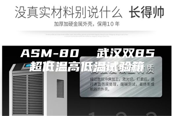 ASM-80  武汉双85超低温高低温试验箱