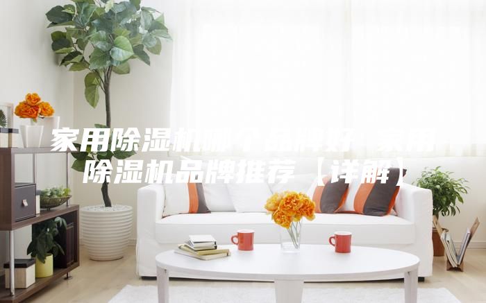 家用除湿机哪个品牌好 家用除湿机品牌推荐【详解】