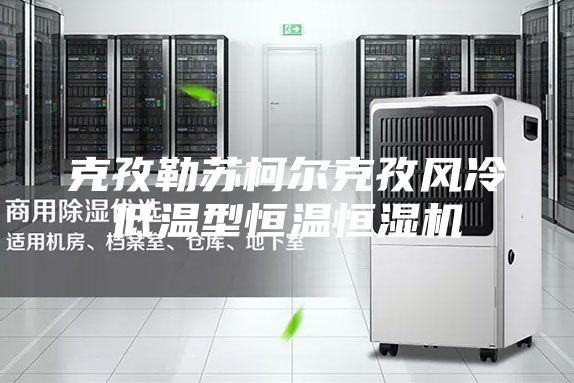 克孜勒苏柯尔克孜风冷低温型恒温恒湿机