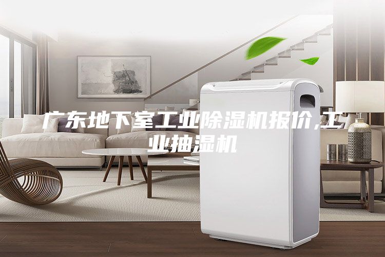 广东地下室工业除湿机报价,工业抽湿机