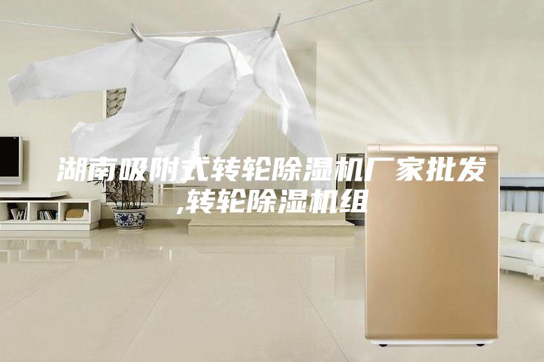 湖南吸附式转轮除湿机厂家批发,转轮除湿机组