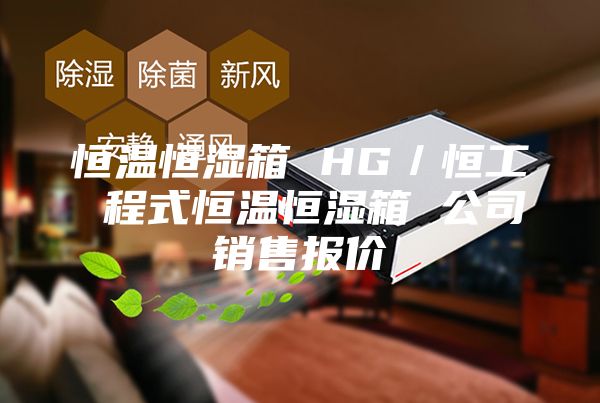 恒温恒湿箱 HG／恒工 程式恒温恒湿箱 公司销售报价