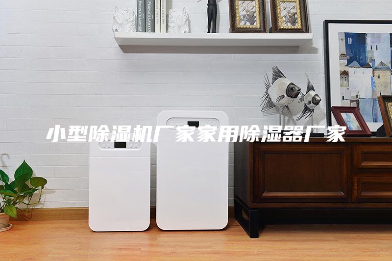小型除湿机厂家家用除湿器厂家