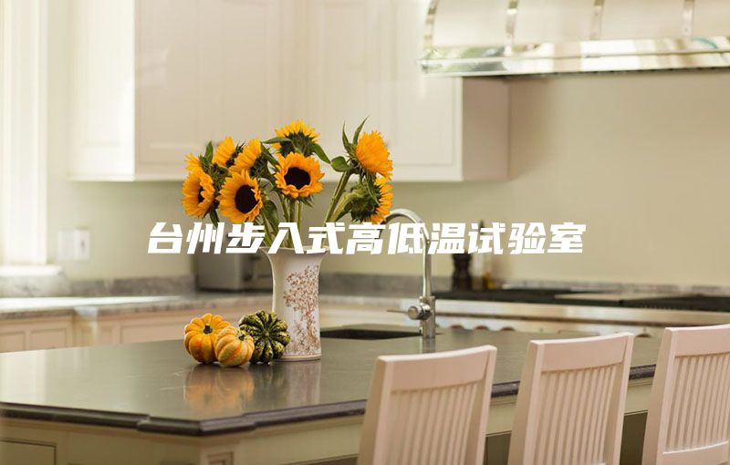 台州步入式高低温试验室