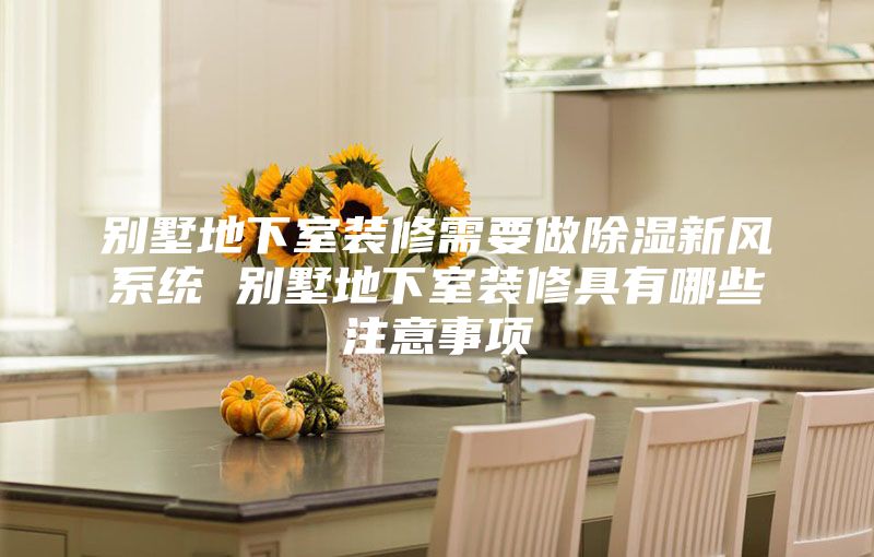 别墅地下室装修需要做除湿新风系统 别墅地下室装修具有哪些注意事项