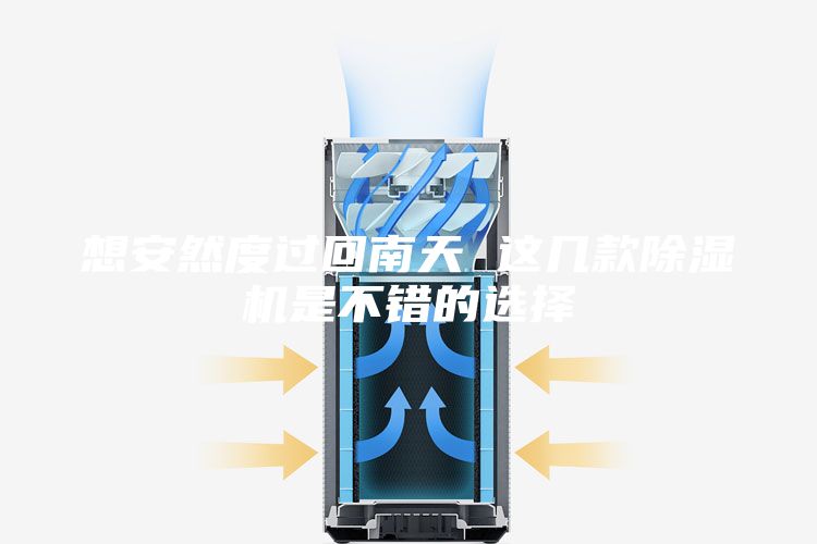 想安然度过回南天 这几款除湿机是不错的选择