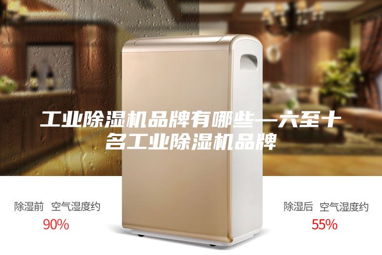 工业除湿机品牌有哪些—六至十名工业除湿机品牌